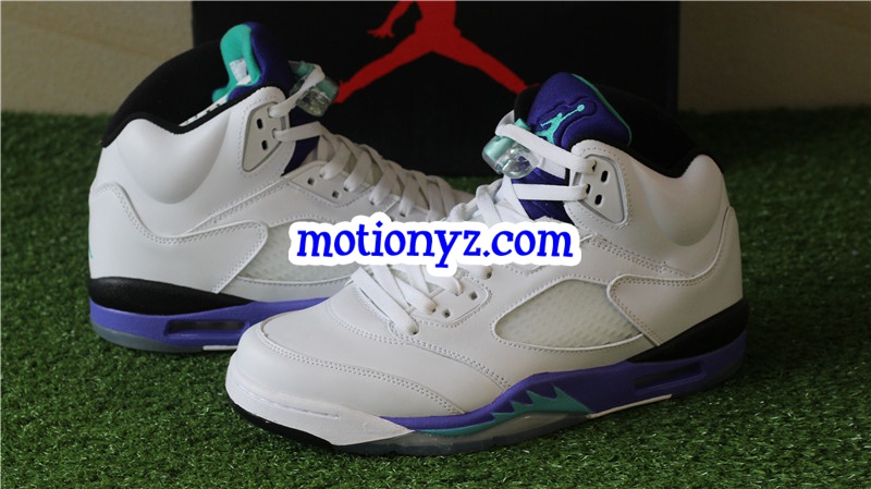 Authentic Air Jordan 5 Retro Grapes